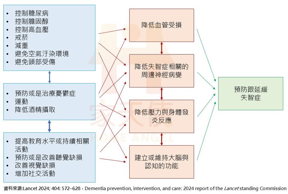 失智症預防因子