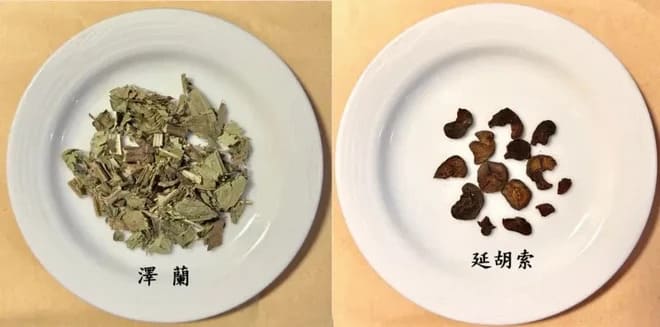 膝關節置換手術