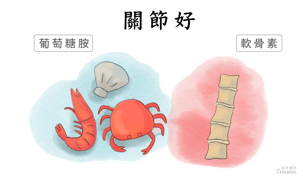 關節健康的營養保健